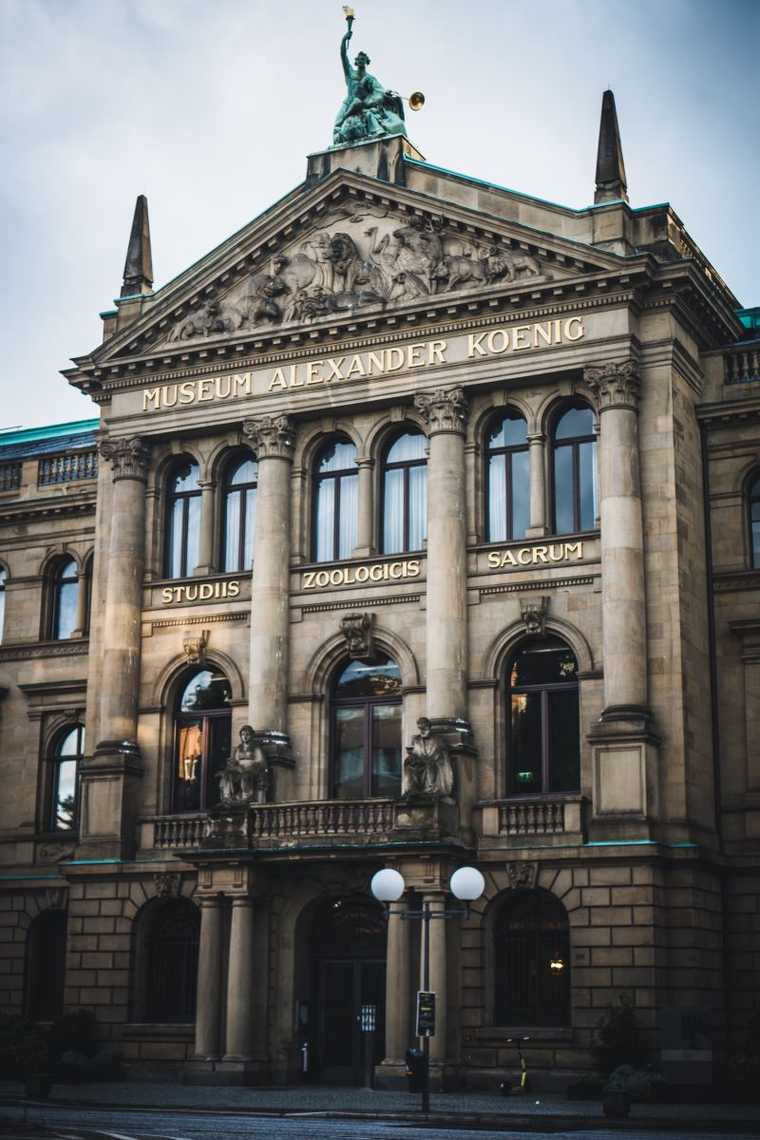 Außenaufnahme König Museum in Bonn